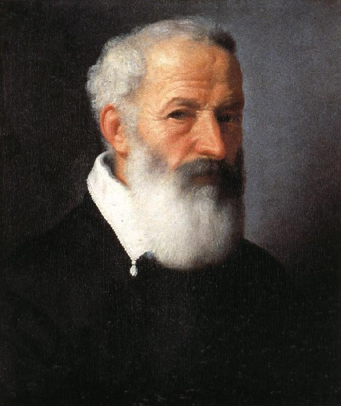 MORONI, Giovanni Battista Portrait of an Old Man France oil painting art